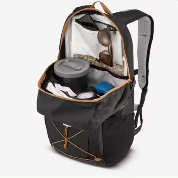 Mochila de montaña y senderismo 30L Quechua NH100. Equipaje de mano Negro - Imagen 6