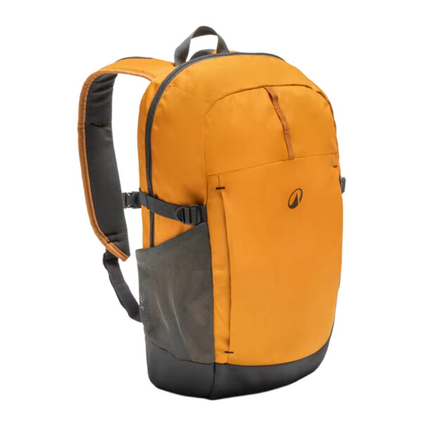 Mochila 20L, Arpenaz 100 marrón