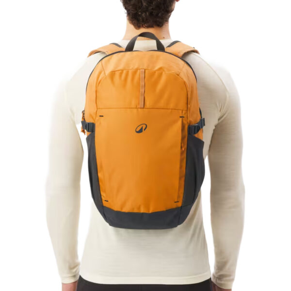 Mochila 20L, Arpenaz 100 marrón