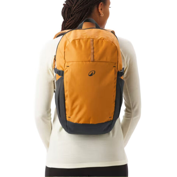Mochila 20L, Arpenaz 100 marrón