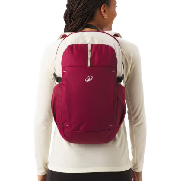 Mochila 20L, Arpenaz 100 violeta